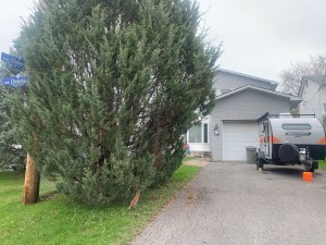 Cash home buyers in Ottawa